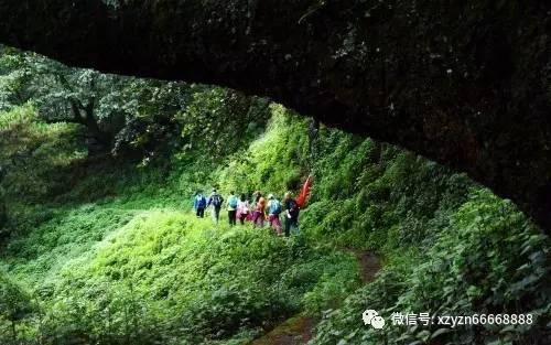 中餐厅之小凯厨神