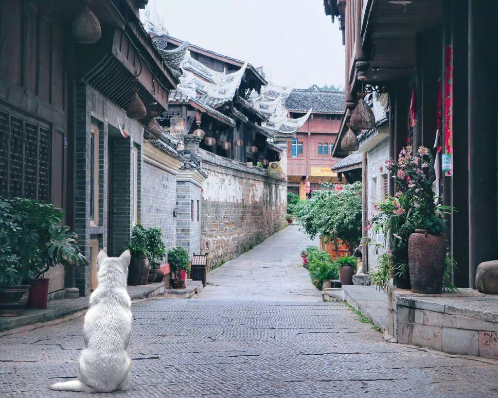 霍比特人救援